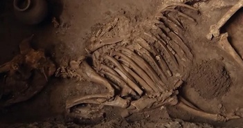 Sinh vật bí ẩn được khai quật từ lăng mộ hoàng đế nhà Hán là loài động vật gì?