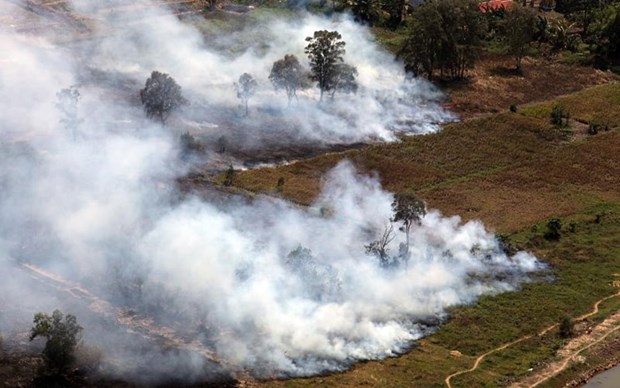 Indonesia nỗ lực dập tắt các đám cháy rừng giữa cao điểm mùa khô