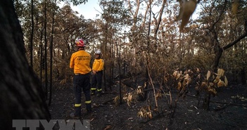 Bang Victoria của Australia ban bố hàng loạt cảnh báo cháy rừng