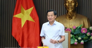 Xem xét, thống nhất giải pháp xử lý dứt điểm Dự án Bột giấy Phương Nam Xem xét, thống nhất giải pháp xử lý dứt điểm Dự án Bột giấy Phương Nam