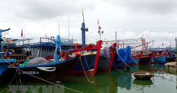 Các tỉnh, thành từ Quảng Ninh-Khánh Hòa chủ động ứng phó với bão số 4 Các tỉnh, thành từ Quảng Ninh-Khánh Hòa chủ động ứng phó với bão số 4