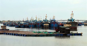 Ứng phó với bão số 4: Quản lý chặt chẽ các phương tiện ra khơi Ứng phó với bão số 4: Quản lý chặt chẽ các phương tiện ra khơi