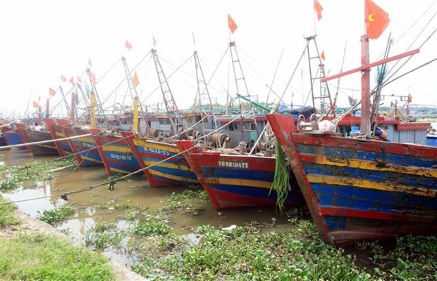 Khu vực Bắc Bộ có mưa rào và dông, có nơi mưa to đến rất to