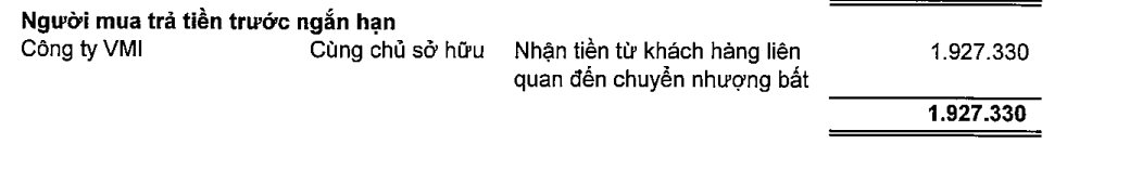 Taxi Xanh GSM và VMI - 2 công ty riêng của ông Phạm Nhật Vượng đã đem về cho Vingroup bao nhiêu tiền trong nửa đầu năm? - Ảnh 3. Taxi Xanh GSM và VMI - 2 công ty riêng của ông Phạm Nhật Vượng đã đem về cho Vingroup bao nhiêu tiền trong nửa đầu năm? - Ảnh 3.