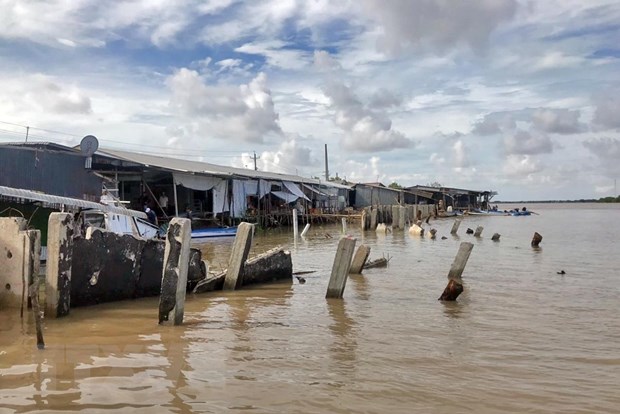 Giải pháp nào cho phòng chống sạt lở bờ sông, bờ biển ở Cà Mau?