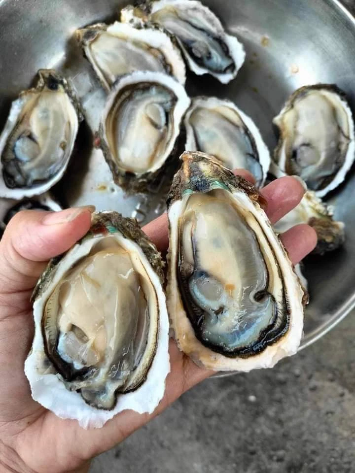 Hàu tốt cho sinh lý nam nhưng những người này không nên ăn