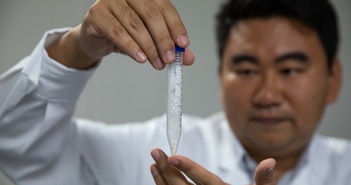 Quốc gia đầu tiên có thể biến CO2 thành tinh bột! Quốc gia đầu tiên có thể biến CO2 thành tinh bột!