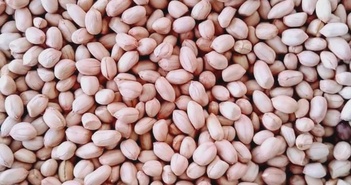 Ăn 7 hạt đậu phộng mỗi ngày, chuyện gì xảy ra?