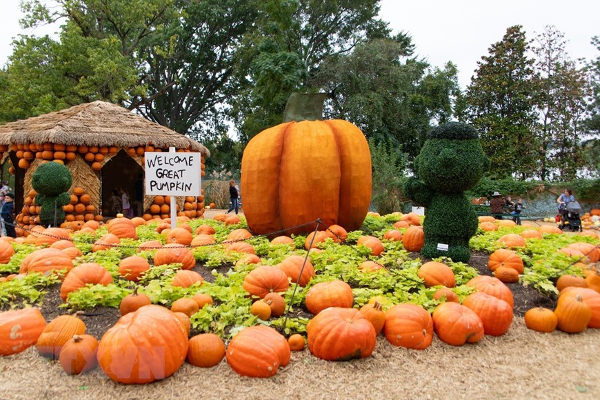 Độc đáo ngôi làng bí ngô trong lễ hội Arboretum ở thành phố Dallas