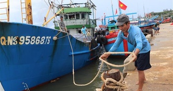 Các tỉnh từ Thanh Hóa đến Cà Mau, Kiên Giang chủ động ứng phó áp thấp Các tỉnh từ Thanh Hóa đến Cà Mau, Kiên Giang chủ động ứng phó áp thấp