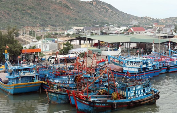Ứng phó áp thấp nhiệt đới, Quảng Nam cấm biển từ 16 giờ ngày 17/10