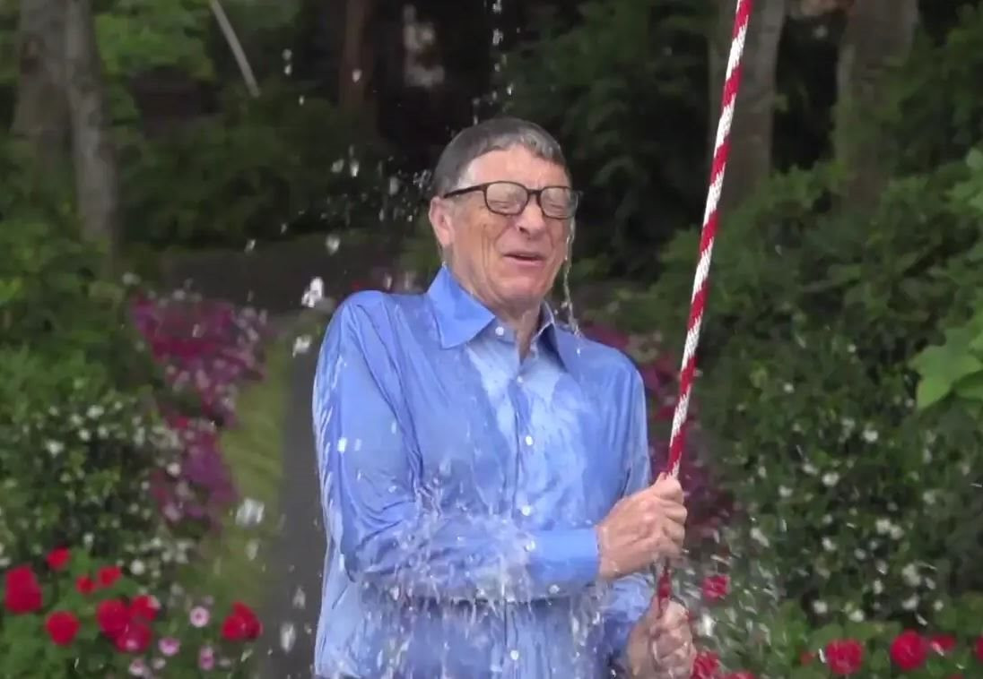 Vì sao Bill Gates và nhiều nhà khoa học phản đối việc ồ ạt trồng cây gây rừng?