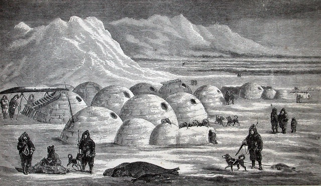 Tại sao người Inuit sống trong lều tuyết ở Bắc Cực?
