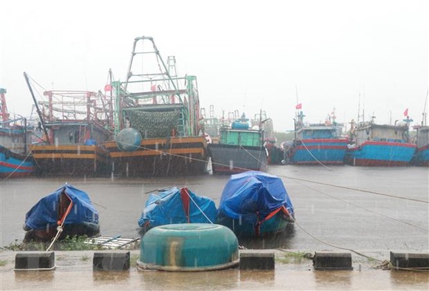 Thái Bình cấm biển từ 6 giờ ngày 19/10 ứng phó với bão số 5
