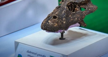 Thái Lan tiết lộ về loài cá sấu cổ đại chưa từng được biết đến