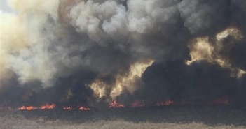 Bolivia: Cháy rừng khiến hàng nghìn trường học phải đóng cửa