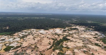 Thế giới mất phần rừng nhiệt đới tương đương với diện tích Đan Mạch