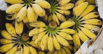Hạ cơn nóng dạ dày với 5 thực phẩm này Hạ cơn nóng dạ dày với 5 thực phẩm này