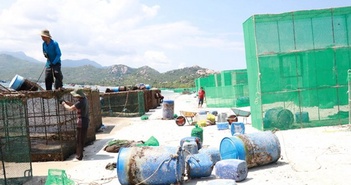 Khánh Hòa: Khẩn trương xử lý ô nhiễm môi trường biển ở Cam Ranh Khánh Hòa: Khẩn trương xử lý ô nhiễm môi trường biển ở Cam Ranh