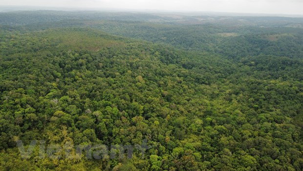 Đắk Nông: Dịch vụ môi trường rừng chiếm hơn 70% mức đầu tư lâm nghiệp