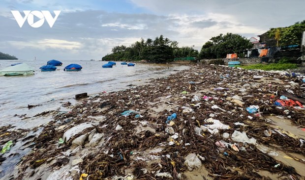 Quảng Ngãi: Bãi biển An Vĩnh và Tịnh Kỳ ngập rác sau mưa lũ