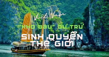 Phát huy giá trị các khu dự trữ sinh quyển để phát triển bền vững Phát huy giá trị các khu dự trữ sinh quyển để phát triển bền vững