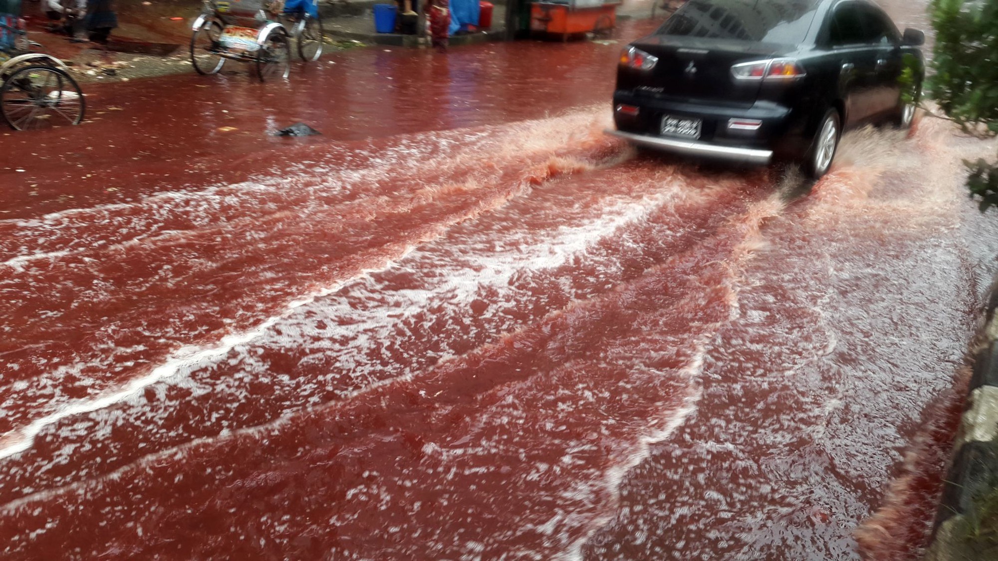 Bí ẩn về những cơn "mưa máu" xuất hiện liên tục tại Ấn Độ