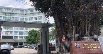 Chính phủ phê duyệt đề án tái cơ cấu Tập đoàn TKV đến năm 2025 Chính phủ phê duyệt đề án tái cơ cấu Tập đoàn TKV đến năm 2025