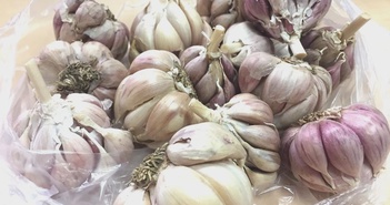 Điều gì xảy ra khi thêm tỏi vào chế độ ăn uống hàng ngày? Điều gì xảy ra khi thêm tỏi vào chế độ ăn uống hàng ngày?