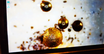 Sự thật về quả cầu kim loại ngoài hành tinh lấy từ Thái Bình Dương Sự thật về quả cầu kim loại ngoài hành tinh lấy từ Thái Bình Dương