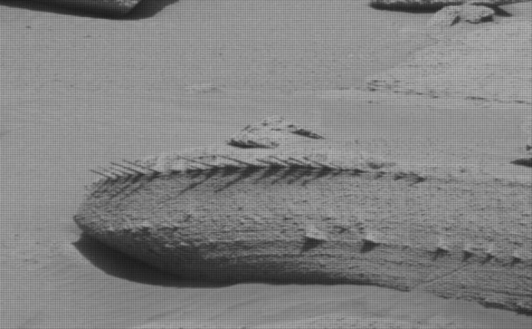 Tàu thám hiểm Curiosity của NASA phát hiện tảng đá giống hóa thạch xương trên bề mặt Sao Hỏa