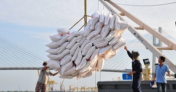 Tin tức kinh tế ngày 21/11: Giá gạo xuất khẩu “nóng” trở lại
