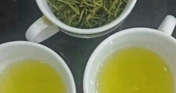 Điều gì xảy ra với cơ thể khi bạn uống trà xanh Điều gì xảy ra với cơ thể khi bạn uống trà xanh