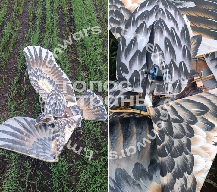 Hình ảnh chiếc UAV được ngụy trang như chim đại bàng bị quân đội Nga thu được.