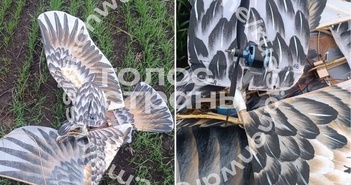 Ngụy trang như chim đại bàng, UAV Ukraine vẫn ‘rớt’ vì tác chiến điện tử Nga