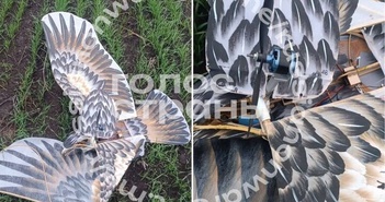 Ngụy trang như chim đại bàng, UAV Ukraine vẫn ‘rớt’ vì tác chiến điện tử Nga Ngụy trang như chim đại bàng, UAV Ukraine vẫn ‘rớt’ vì tác chiến điện tử Nga