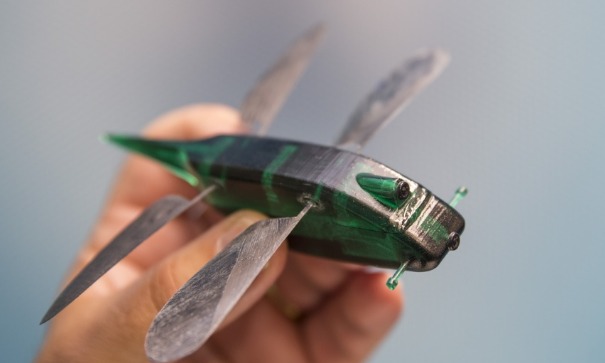 Bí ẩn của sinh học: Tại sao không thể chế tạo máy bay có đôi cánh giống như chuồn chuồn?