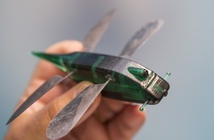 Bí ẩn của sinh học: Tại sao không thể chế tạo máy bay có đôi cánh giống như chuồn chuồn?