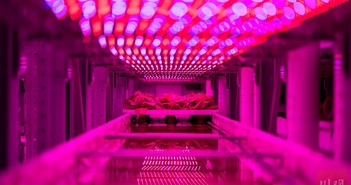 Trung Quốc xây trang trại tự động quản lý bằng AI cao nhất thế giới Trung Quốc xây trang trại tự động quản lý bằng AI cao nhất thế giới