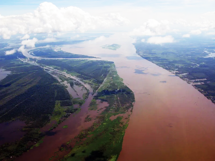 Tại sao không có cây cầu nào bắc qua sông Amazon?