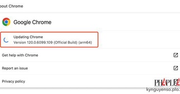 Google khuyến cáo người dùng nên cập nhật Chrome ngay lập tức