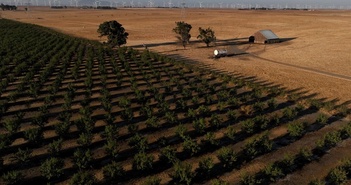 Âm thầm chi hơn 800 triệu USD mua đất nông nghiệp để làm dự án “không tưởng”, nhóm tỷ phú công nghệ Mỹ vấp phải phản ứng dữ dội