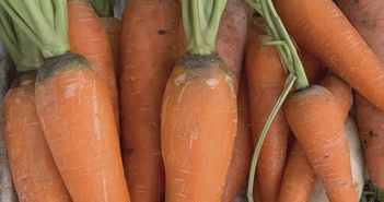 Ăn cà rốt mỗi ngày, chuyện gì xảy ra với sức khỏe?