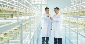 Trung Quốc trồng thử giống khoai tây do tàu Thần Châu-16 mang về từ không gian