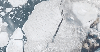 Hình ảnh vệ tinh cho thấy những ngày cuối cùng của thềm băng duy nhất còn sót lại ở Canada trước khi biến mất