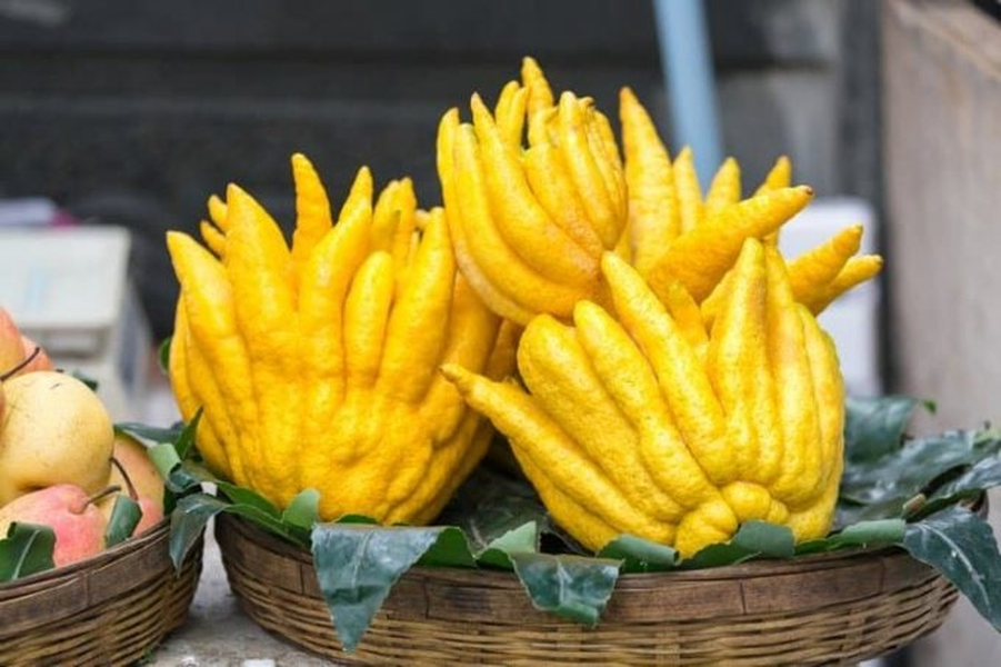 Cách chọn phật thủ tài lộc chưng Tết