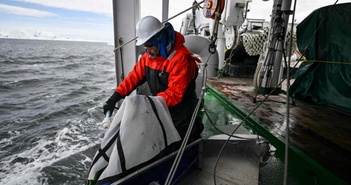 Các nhà khoa học nghiên cứu mức độ vi nhựa ở Nam Cực