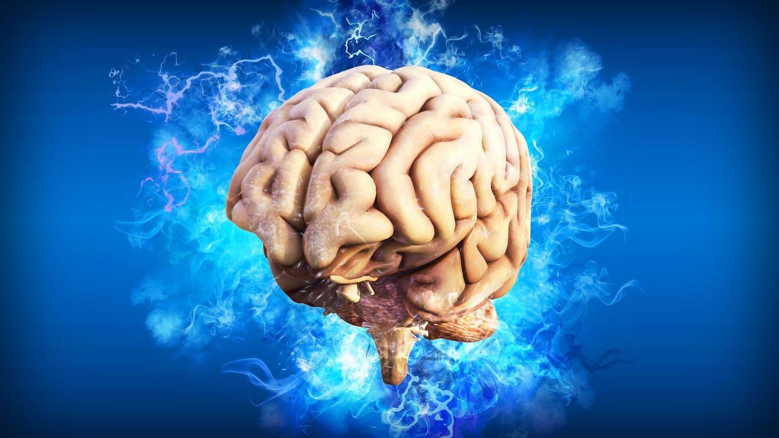 Các nhà khoa học Nga phát triển ‘bộ não mini’ để nghiên cứu nhận thức con người