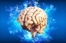 Các nhà khoa học Nga phát triển ‘bộ não mini’ để nghiên cứu nhận thức con người