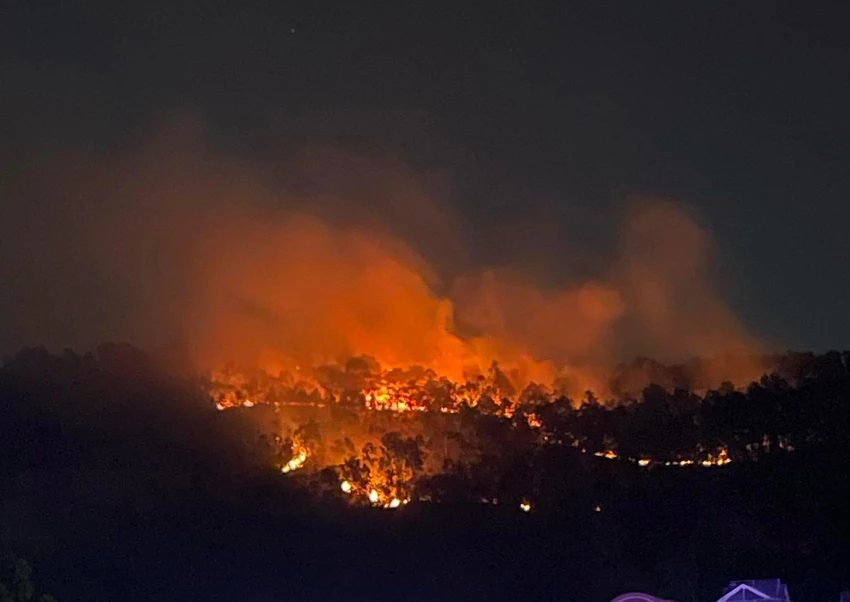Gần 200 người được huy động khống chế đám cháy rừng ở Hải Phòng
